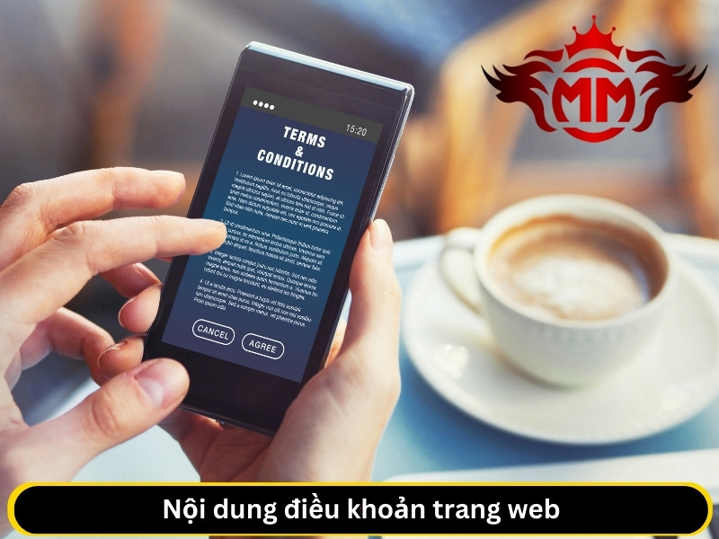 Điều khoản trang đua bi